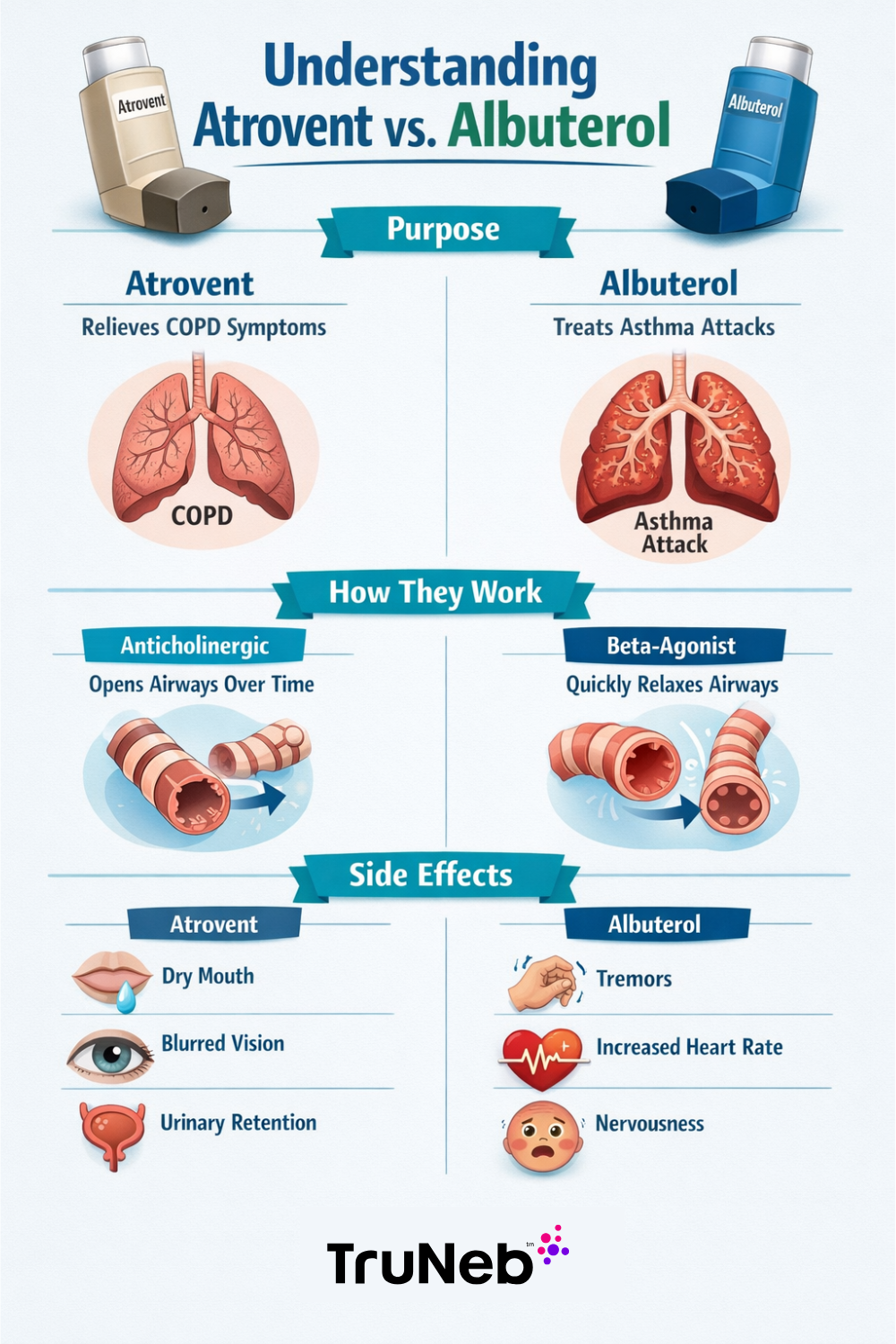 Understanding Atrovent vs Albuterol With Infographic